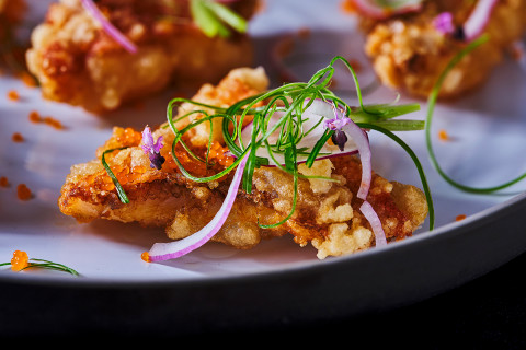 Tempura 1200x800